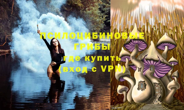 соль курить ск Бугульма