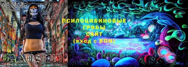 Галлюциногенные грибы Cubensis  Братск 